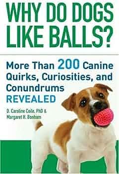 Why Do Dogs Like Balls?: More Than 200 Canine Quirks, Curiosities, and Conundrums Revealed by Margaret H. Bonham, D. Caroline Coile