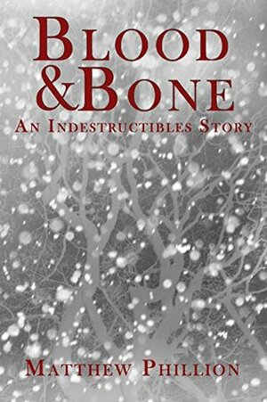 Blood and Bone: An Indestructibles Story (the Indestructibles) by Matthew Phillion