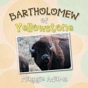 Bartholomew of Yellowstone by Maggie Adams