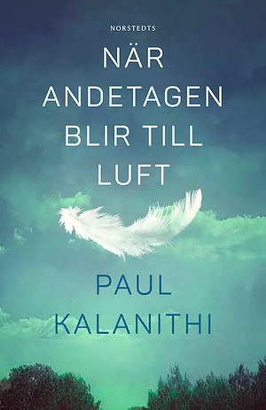 När andetagen blir till luft by Paul Kalanithi