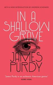 In a Shallow Grave (Valancourt 20th Century Classics) by James Purdy