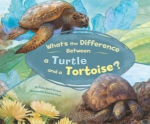 What's the Difference Between a Turtle and a Tortoise? by Trisha Speed Shaskan, Debra Bandelin