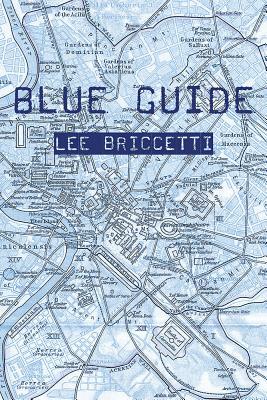 Blue Guide by Lee Briccetti