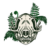 vexbatch's profile picture