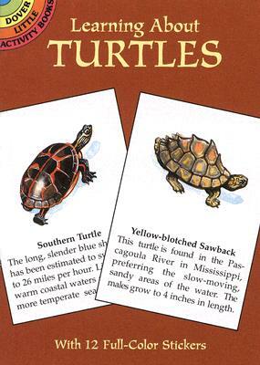 Learning about Turtles by Jan Sovak