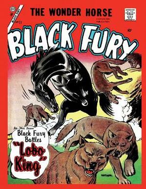Black Fury # 11 by Charlton Comics Group