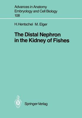 The Distal Nephron in the Kidney of Fishes by Hartmut Hentschel, Marlies Elger