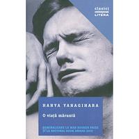 O viaţă măruntă by Hanya Yanagihara