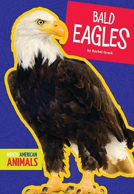 Bald Eagles by Rachel Grack