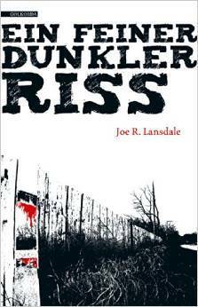 Ein feiner dunkler Riss by Joe R. Lansdale