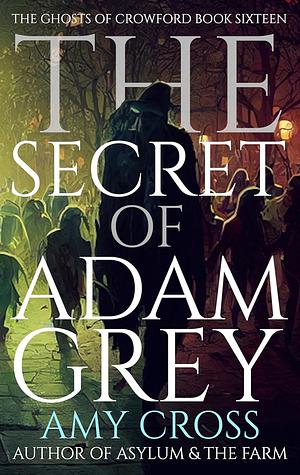 The Secret of Adam Grey by Amy Cross