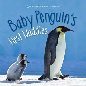 Baby Penguin's First Waddles by Ben Richmond