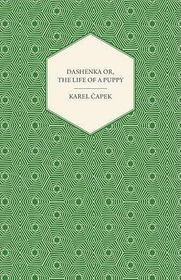 Dashenka or The Life of a Puppy by Karel Čapek