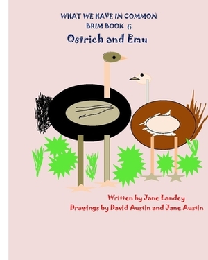 What We Have in Common Brim Book: Ostrich and Emu by Jane Landey