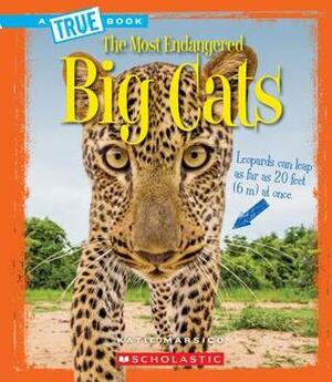 Big Cats (A True Book: The Most Endangered) by Katie Marsico