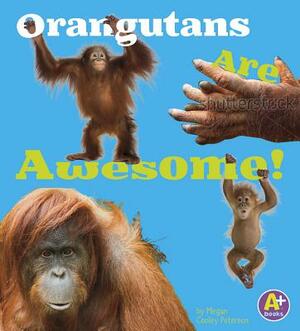 Orangutans Are Awesome! by Allan Morey