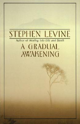 A Gradual Awakening by Stephen Levine