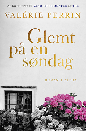 Glemt på en søndag by Valérie Perrin