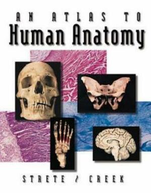 An Atlas to Human Anatomy by Christopher H. Creek, Dennis Strete