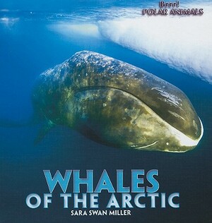 Whales of the Arctic by Sara Swan Miller