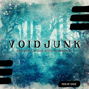 VOIDJUNK: Issue One by Ian Llywelyn Brown, Jae Steinbacher