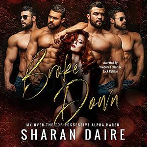 Broke Down by Sharan Daire