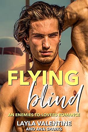 Flying Blind: An Enemies-to-Lovers Romance (Everyday Heroes) by Ana Sparks, Layla Valentine