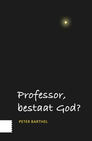 Professor, bestaat God? by Peter Barthel