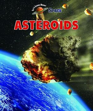Asteroids by Rebecca Kraft Rector