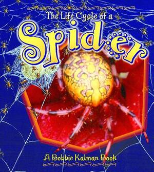 Spider by Bobbie Kalman