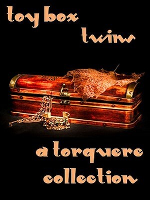 Toy Box: Twins by Sean Michael, Chris Owen, B.A. Tortuga