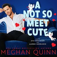 A Not So Meet Cute by Meghan Quinn