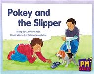 Pokey and the Slipper by Debbie Croft