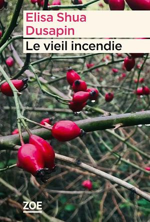 Le vieil incendie by Elisa Shua Dusapin