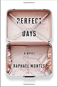 Perfekte dage by Raphael Montes