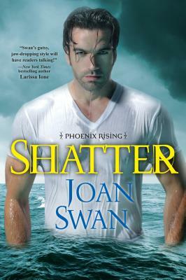 Shatter by Joan Swan