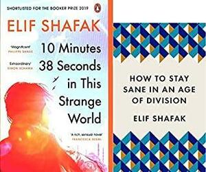 10 Minutes 38 Second in this Strange World & How to Stay Sane in an Age of Division by Elif Shafak