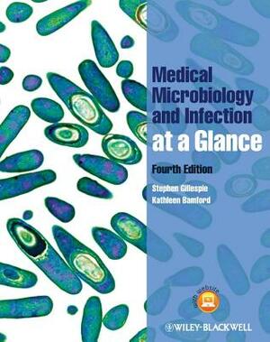 Medical Microbiology and Infection at a Glance by Stephen Gillespie, Kathleen Bamford