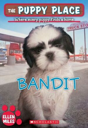 Bandit by Ellen Miles