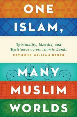 One Islam, Many Muslim Worlds: Spirituality, Identity, and Resistance Across Islamic Lands by Raymond William Baker