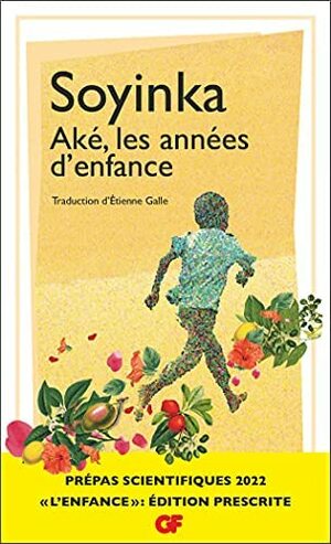 Aké, Les Années D'enfance by Wole Soyinka