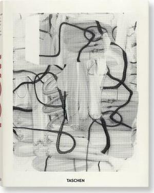 Christopher Wool by Eric Banks, Hans Werner Holzwarth