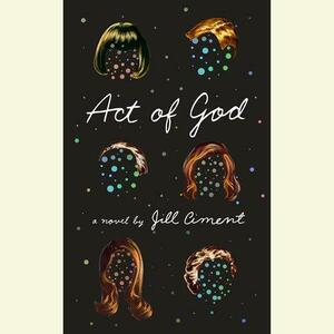 Act of God: A Novel by Jill Ciment