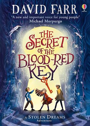 The Secret of the Blood-Red Key by David Farr