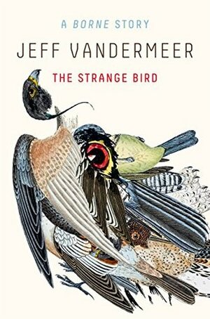 The Strange Bird: A Borne Story by Jeff VanderMeer