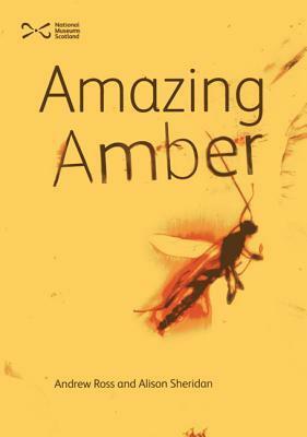 Amazing Amber by Andrew Ross, Alison Sheridan