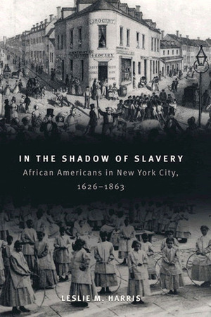 In the Shadow of Slavery: African Americans in New York City, 1626-1863 by Leslie M. Harris