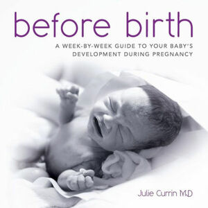 Before Birth: A week-by-week guide to your baby's development during pregnancy by Julie Currin, Thomas James
