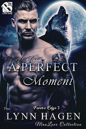 A Perfect Moment by Lynn Hagen