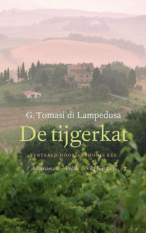 De Tijgerkat, Herinneringen aan mijn jeugd en andere verhalen by Giuseppe Tomasi di Lampedusa